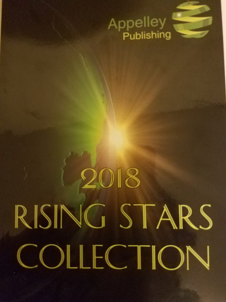 Students Poems Published in 2018 Rising Star Collections