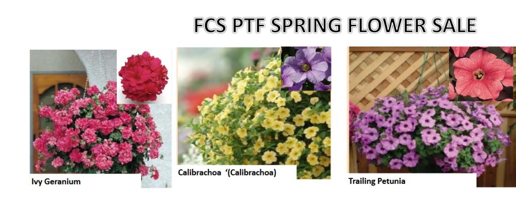 PTF Flower Sale